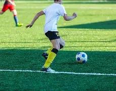 激情对决,东京挑战实,力强劲的鹿,V体育,VSports,V体育官网,V体育官网,V体育下载,V体育APP