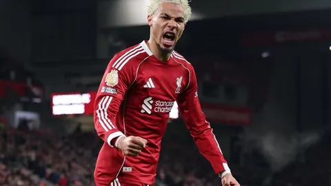 NBA赛事分析：孟菲斯灰熊对决波特兰开拓者