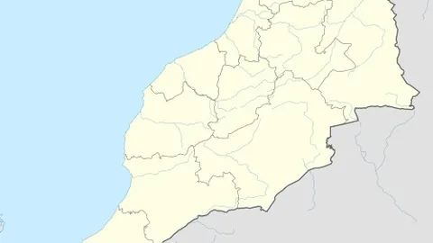 “9.9元马术体验课探秘：四节课背后价值全解析？”